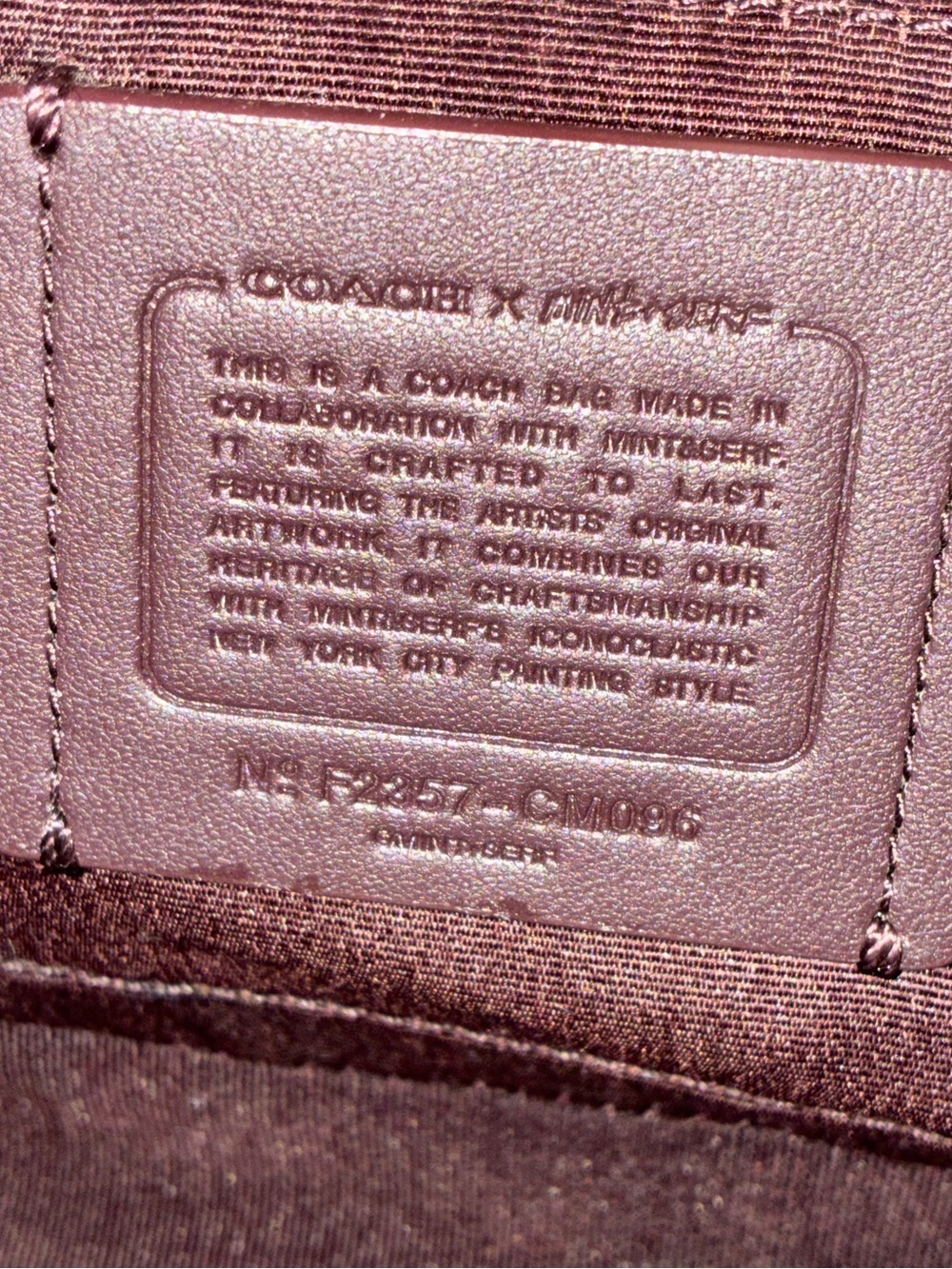 Coach X Mint + Serf Teri Shoulder Crossbody Bag, Graffiti, CM096 - Picture 4 of 14